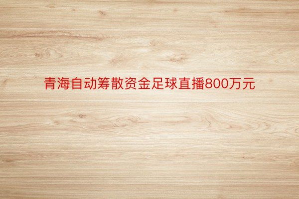 青海自动筹散资金足球直播800万元