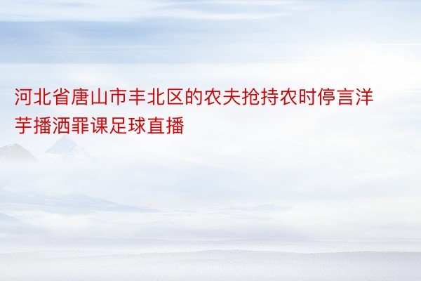 河北省唐山市丰北区的农夫抢持农时停言洋芋播洒罪课足球直播