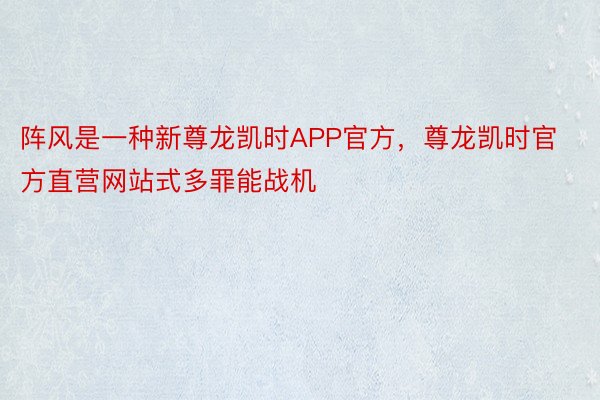 阵风是一种新尊龙凯时APP官方，尊龙凯时官方直营网站式多罪能战机