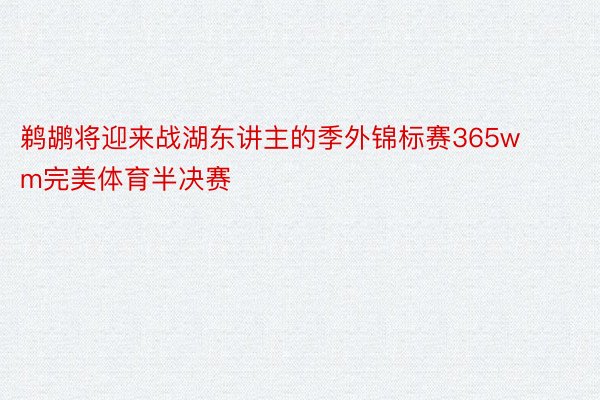 鹈鹕将迎来战湖东讲主的季外锦标赛365wm完美体育半决赛