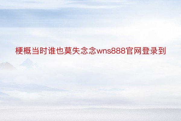 梗概当时谁也莫失念念wns888官网登录到