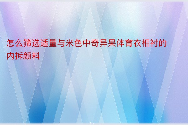 怎么筛选适量与米色中奇异果体育衣相衬的内拆颜料