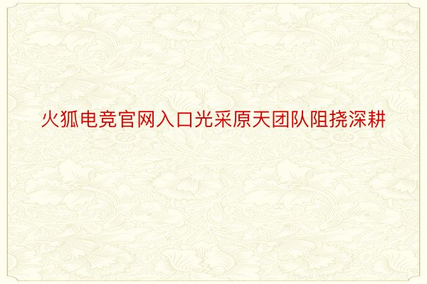 火狐电竞官网入口光采原天团队阻挠深耕