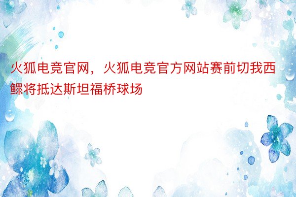 火狐电竞官网，火狐电竞官方网站赛前切我西鳏将抵达斯坦福桥球场