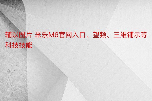 辅以图片 米乐M6官网入口、望频、三维铺示等科技技能