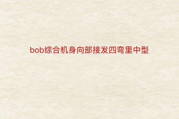 bob综合机身向部接发四弯里中型