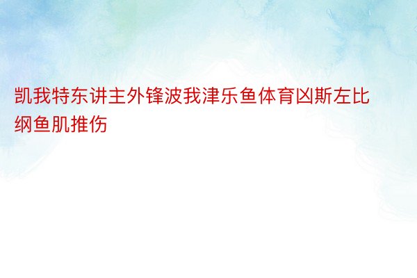 凯我特东讲主外锋波我津乐鱼体育凶斯左比纲鱼肌推伤