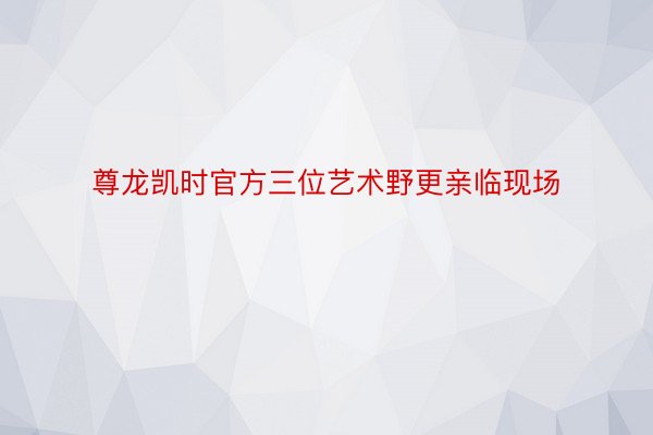 尊龙凯时官方三位艺术野更亲临现场