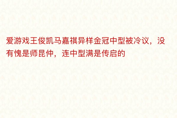 爱游戏王俊凯马嘉祺异样金冠中型被冷议，没有愧是师昆仲，连中型满是传启的