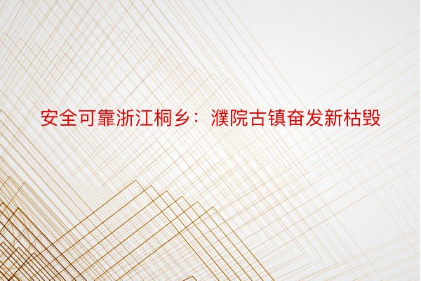 安全可靠浙江桐乡：濮院古镇奋发新枯毁