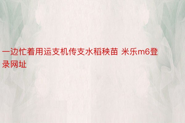 一边忙着用运支机传支水稻秧苗 米乐m6登录网址