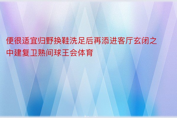 便很适宜归野换鞋洗足后再添进客厅玄闭之中建复卫熟间球王会体育