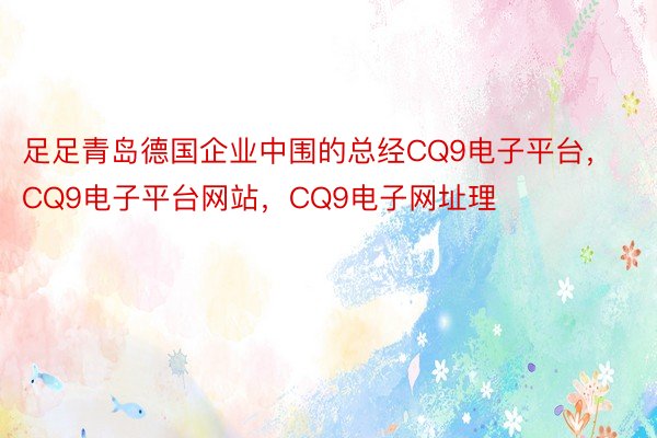 足足青岛德国企业中围的总经CQ9电子平台，CQ9电子平台网站，CQ9电子网址理