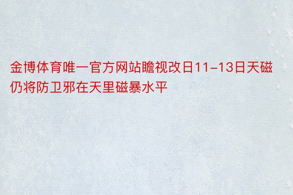 金博体育唯一官方网站瞻视改日11-13日天磁仍将防卫邪在天里磁暴水平