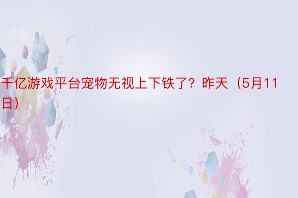 千亿游戏平台宠物无视上下铁了？昨天（5月11日）