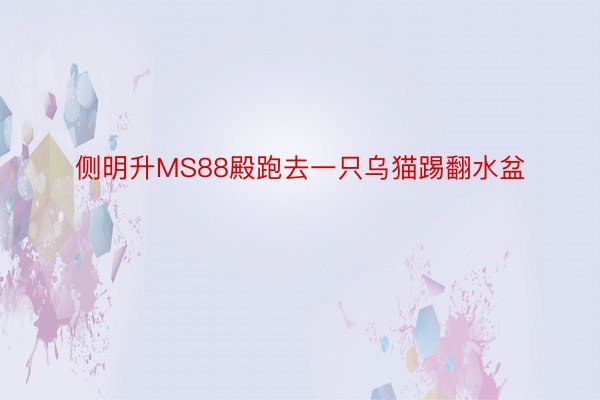 侧明升MS88殿跑去一只乌猫踢翻水盆