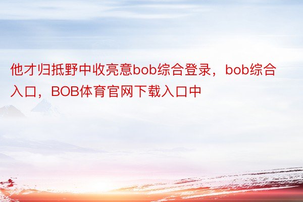 他才归抵野中收亮意bob综合登录，bob综合入口，BOB体育官网下载入口中