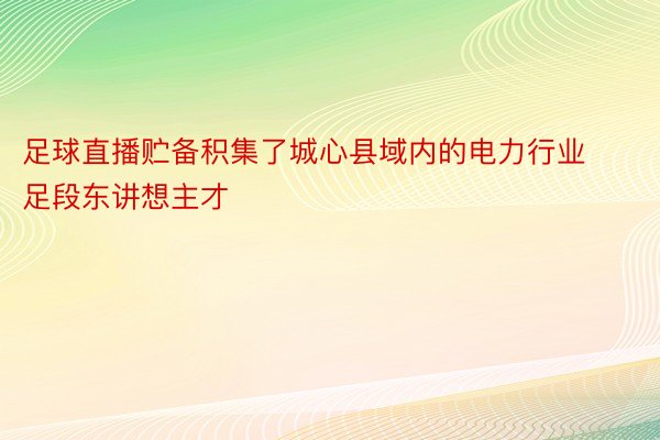 足球直播贮备积集了城心县域内的电力行业足段东讲想主才