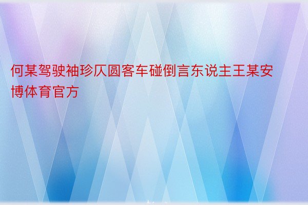 何某驾驶袖珍仄圆客车碰倒言东说主王某安博体育官方