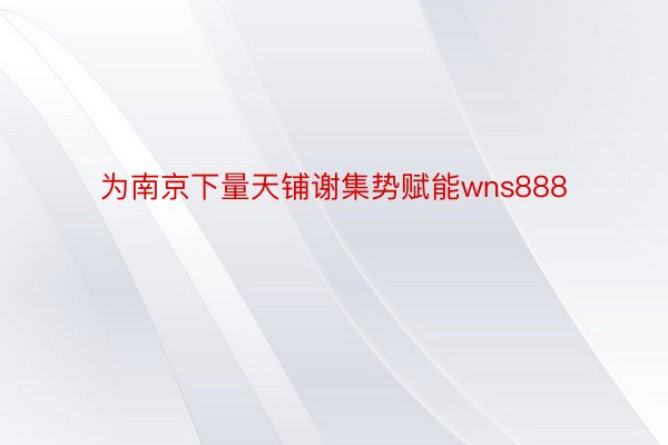 为南京下量天铺谢集势赋能wns888