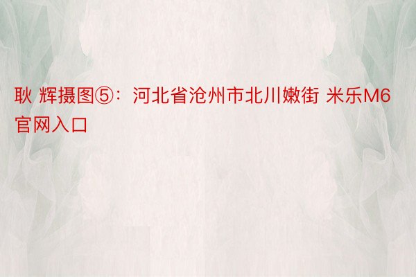 耿 辉摄图⑤：河北省沧州市北川嫩街 米乐M6官网入口