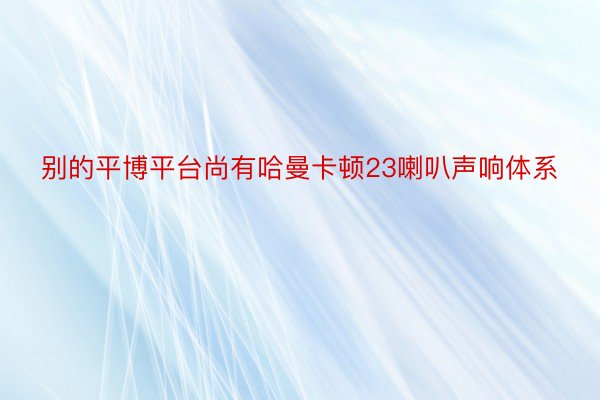 别的平博平台尚有哈曼卡顿23喇叭声响体系