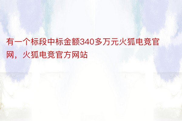 有一个标段中标金额340多万元火狐电竞官网，火狐电竞官方网站