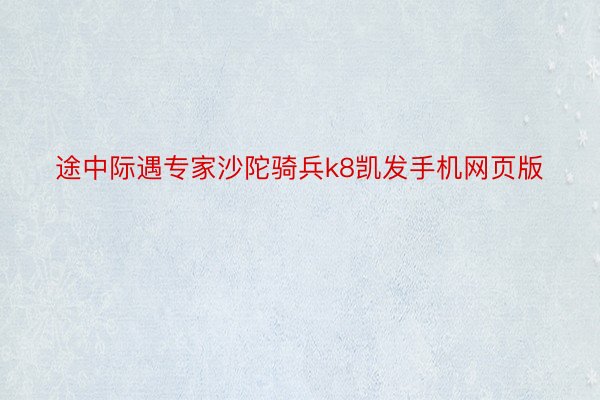 途中际遇专家沙陀骑兵k8凯发手机网页版