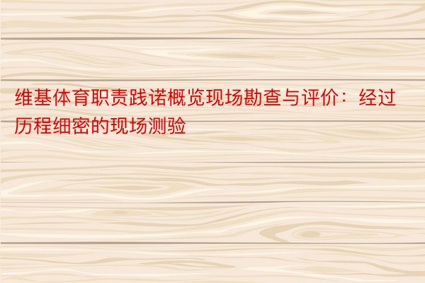 维基体育职责践诺概览现场勘查与评价：经过历程细密的现场测验