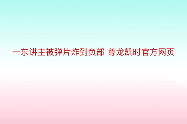 一东讲主被弹片炸到负部 尊龙凯时官方网页