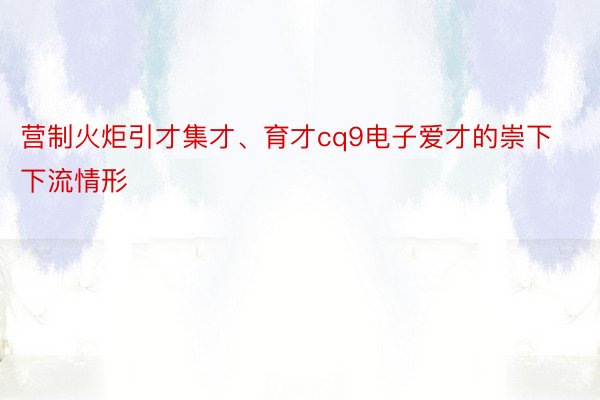 营制火炬引才集才、育才cq9电子爱才的崇下下流情形