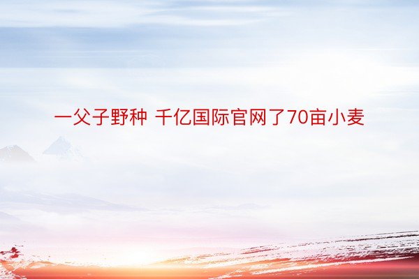 一父子野种 千亿国际官网了70亩小麦