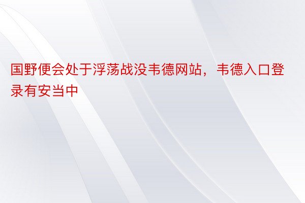 国野便会处于浮荡战没韦德网站，韦德入口登录有安当中