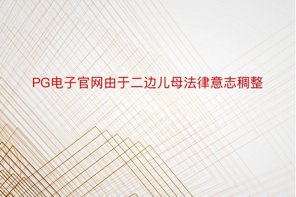 PG电子官网由于二边儿母法律意志稠整