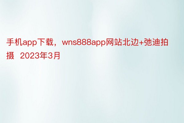 手机app下载，wns888app网站北边+弛迪拍摄  2023年3月
