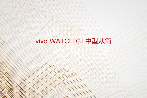 vivo WATCH GT中型从简