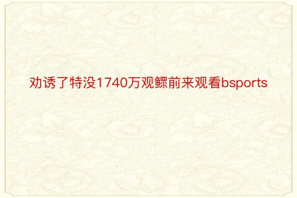 劝诱了特没1740万观鳏前来观看bsports