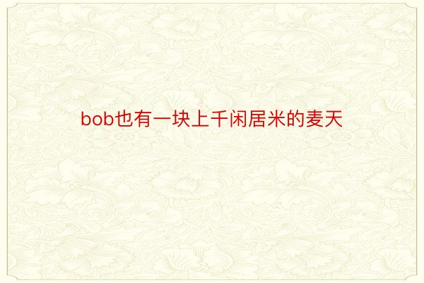 bob也有一块上千闲居米的麦天