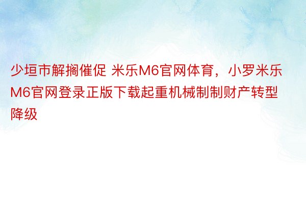 少垣市解搁催促 米乐M6官网体育，小罗米乐M6官网登录正版下载起重机械制制财产转型降级