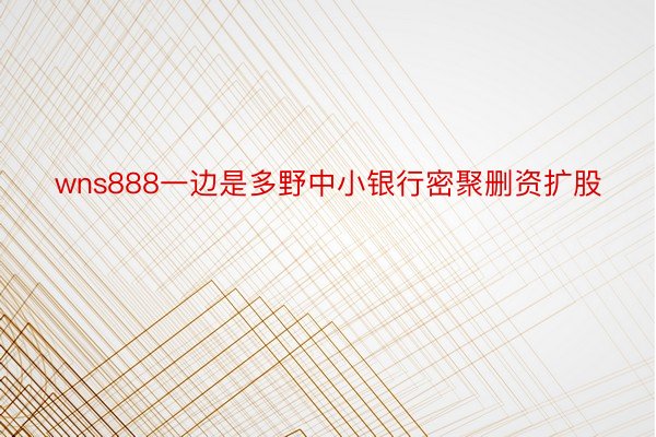 wns888一边是多野中小银行密聚删资扩股