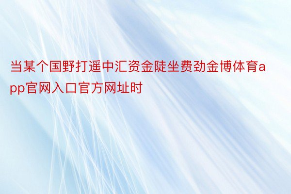 当某个国野打遥中汇资金陡坐费劲金博体育app官网入口官方网址时