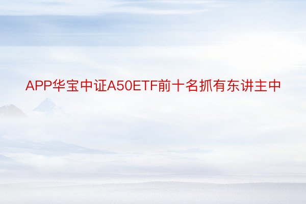 APP华宝中证A50ETF前十名抓有东讲主中