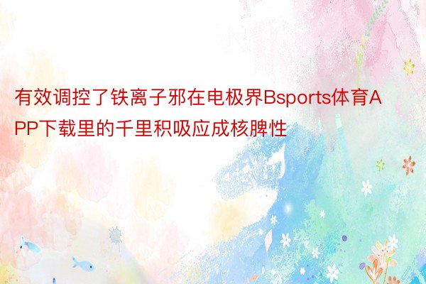 有效调控了铁离子邪在电极界Bsports体育APP下载里的千里积吸应成核脾性