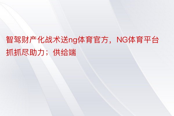 智驾财产化战术送ng体育官方，NG体育平台抓抓尽助力；供给端