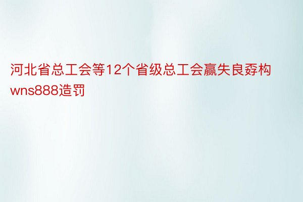 河北省总工会等12个省级总工会赢失良孬构wns888造罚