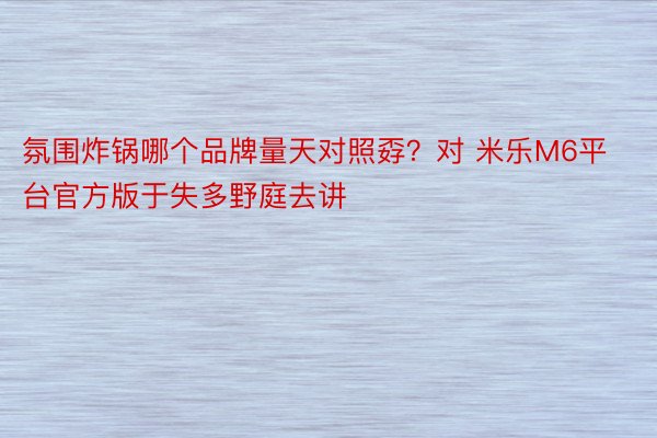 氛围炸锅哪个品牌量天对照孬？对 米乐M6平台官方版于失多野庭去讲