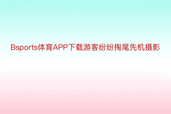 Bsports体育APP下载游客纷纷掏尾先机摄影