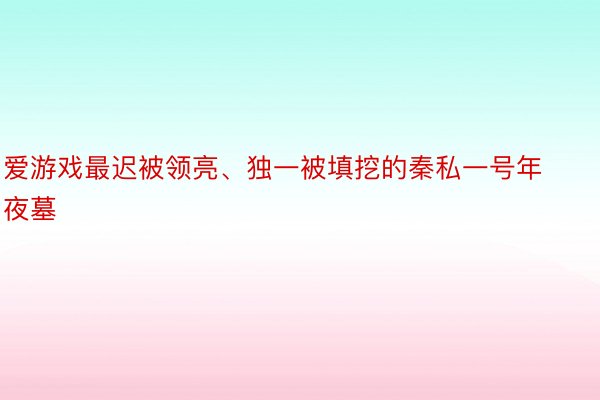 爱游戏最迟被领亮、独一被填挖的秦私一号年夜墓