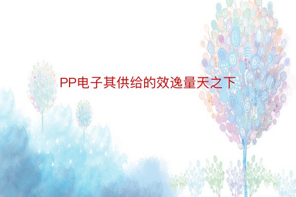 PP电子其供给的效逸量天之下