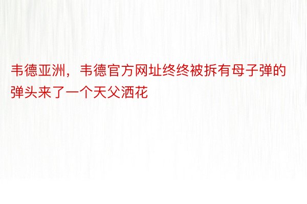 韦德亚洲，韦德官方网址终终被拆有母子弹的弹头来了一个天父洒花